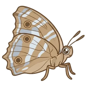 Sticker of Palm king