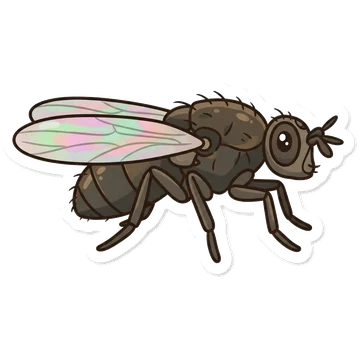 Sticker of Petroleum fly