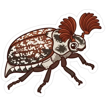 Kleeps: Pine chafer