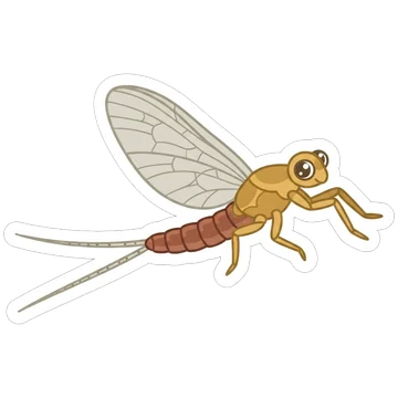 Sticker of Pond olive