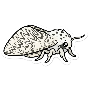 Sticker of Puss moth