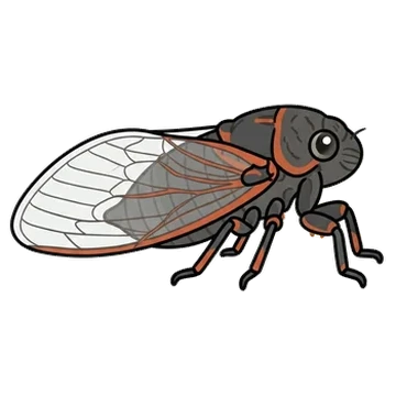 Sticker of Putnam's cicada