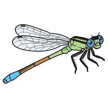 Sticker of Rambur's forktail