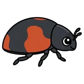 Sticker of Red-flanked scymnus