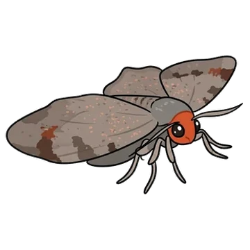Sticker of Red-headed inchworm moth