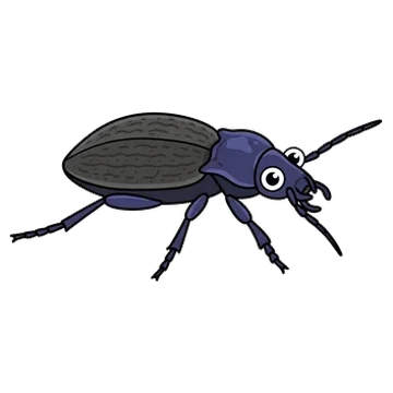 Sticker of Rough violet ground beetle