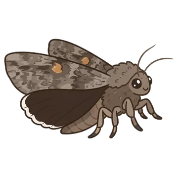 Sticker of Sad underwing