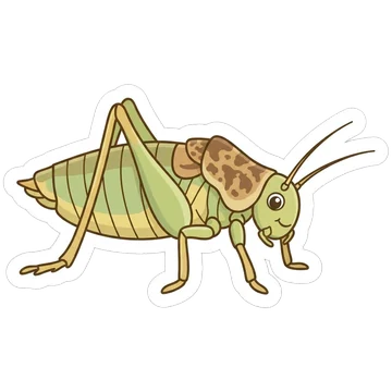 Kleeps: Saddle-backed bush-cricket