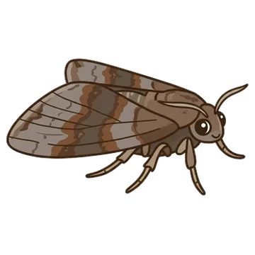 Sticker of Shaded broad-bar
