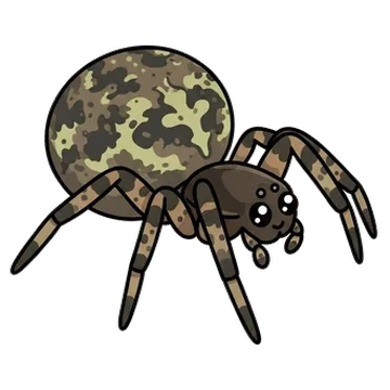 Sticker of Shaded orbweaver