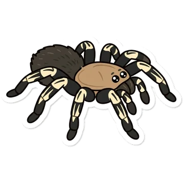 Kleeps: Skeleton tarantula
