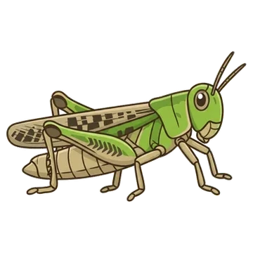 Sticker of Slender green-winged grasshopper