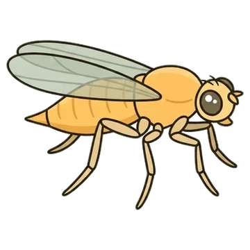Sticker of Small grass fly