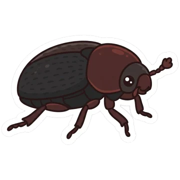 Sticker of Small hive beetle