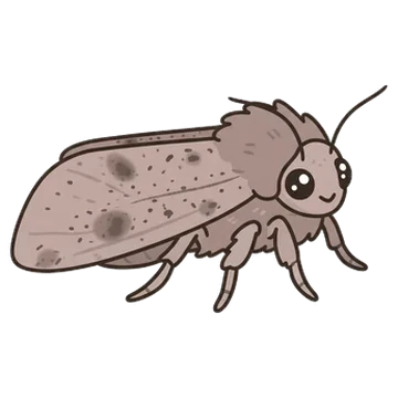 Sticker of Small Quaker