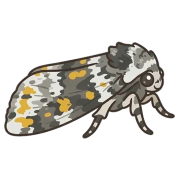 Sticker of Small ranunculus