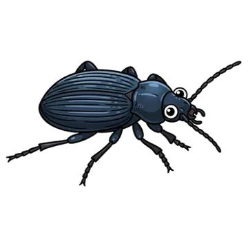 Sticker of Small snail-eating ground beetle