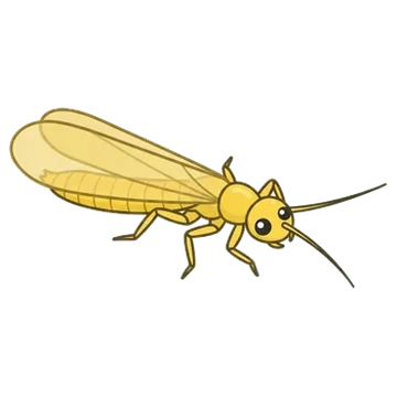 Sticker of Small yellow sally