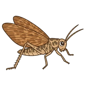 Sticker of Sooty longwing