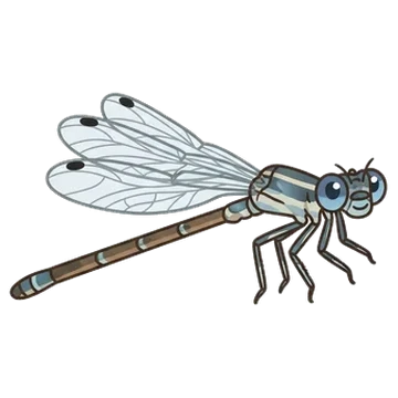 Sticker of Southern spreadwing