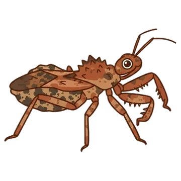 Sticker of Spined assassin bug