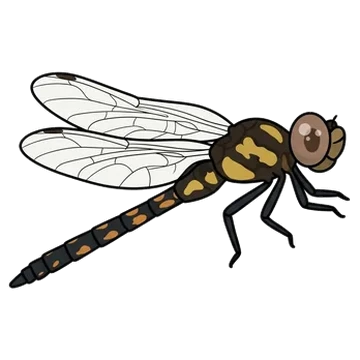 Sticker of Spiny baskettail