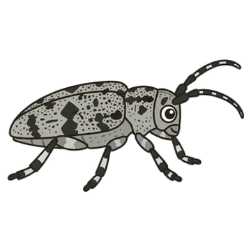 Sticker of Spotted tree borer