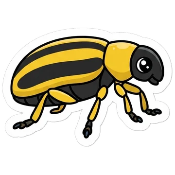 Sticker of Striped cucumber beetle