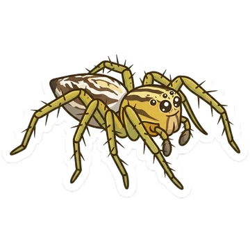 Sticker of Striped lynx spider