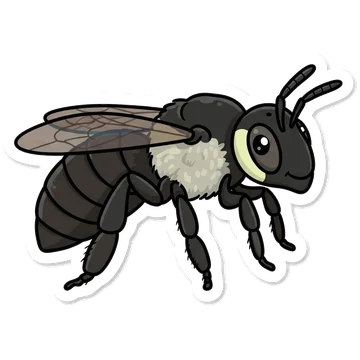 Sticker of Sugarbag bee