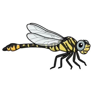 Sticker of Sulphur-tipped clubtail