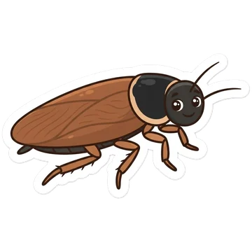 Sticker of Surinam cockroach