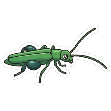 Kleeps: Swollen-thighed beetle