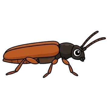 Sticker of Tanbark borer