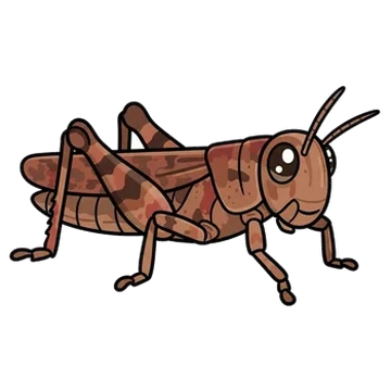 Sticker of Tasmanian grasshopper