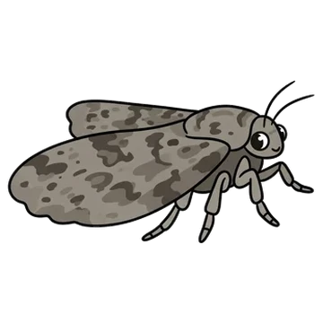 Sticker of Texas gray