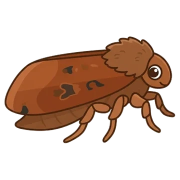 Sticker of The chestnut