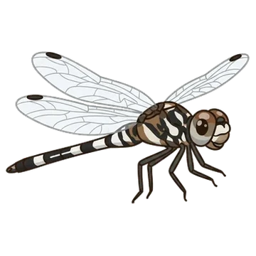 Sticker of Thornbush dasher