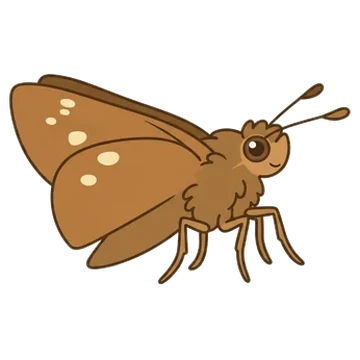 Sticker of Three-spotted skipper