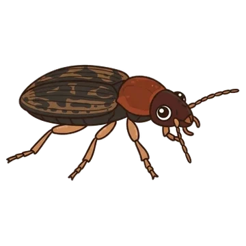 Sticker of Tule beetle