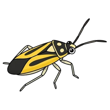 Sticker of Two-spotted grass bug