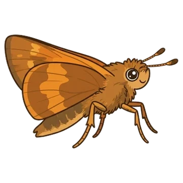 Sticker of Umber skipper