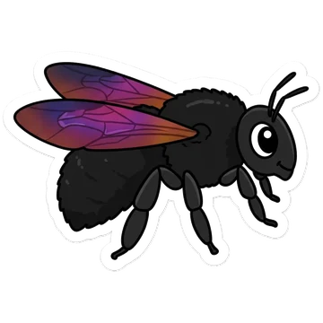 Kleeps: Valley carpenter bee