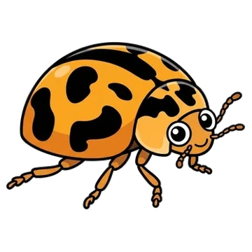 Sticker of Variable ladybird beetle