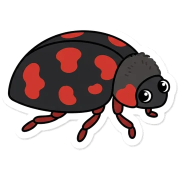 Sticker of Vedalia beetle