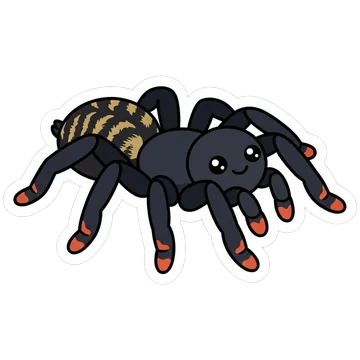 Kleeps: Venezuelan suntiger tarantula