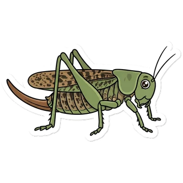 Kleeps: Heinaritsikas