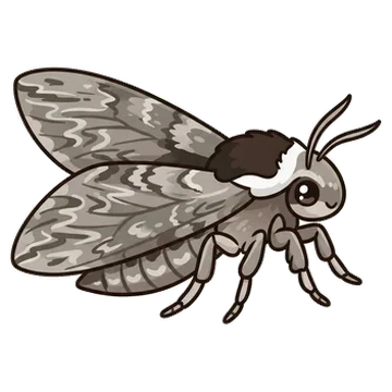 Sticker of Waved sphinx
