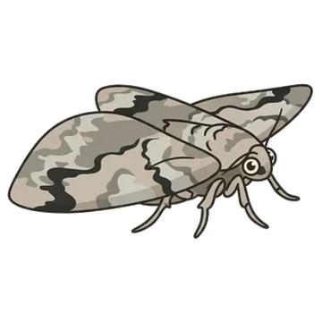 Sticker of Waved umber