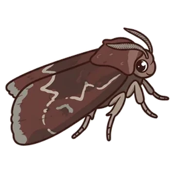 Sticker of Wedgling moth